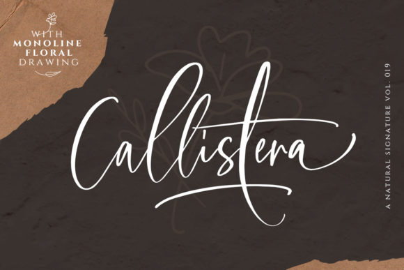 Callistera: A Stylish Script Font for Elegant Designs
