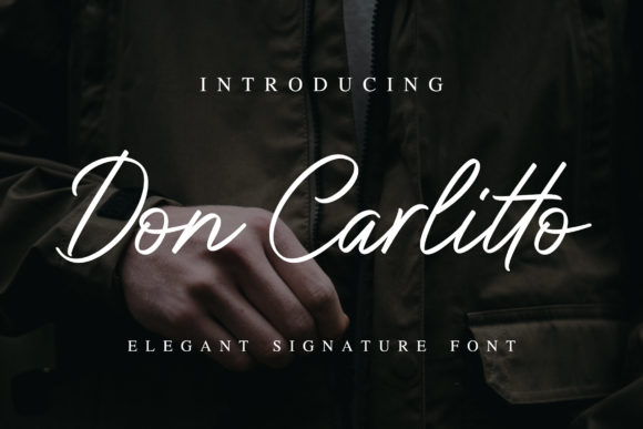 Don Carlitto: Elegant Handwritten Style